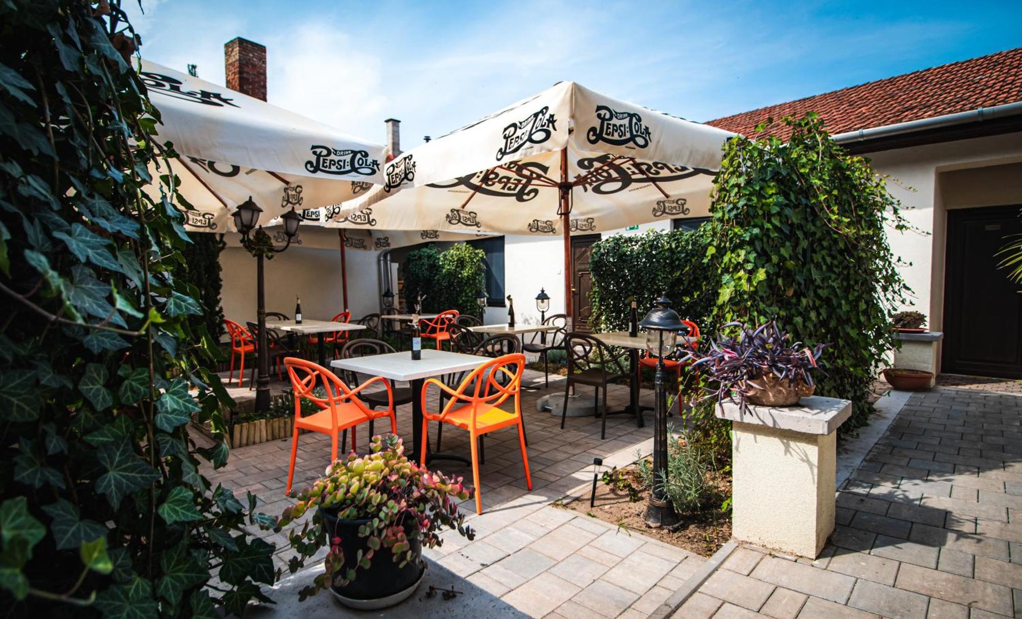 Fakapu Pince Es Panzio Bed & Breakfast Токай Екстериор снимка